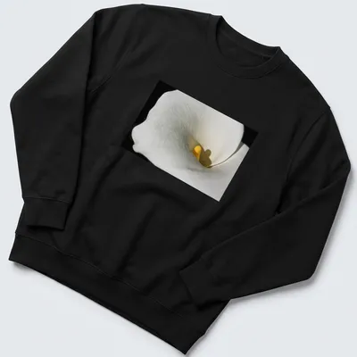 Realistic photography of a Calla Lily in white and yellow against a black background — printed on a unisex sweatshirt