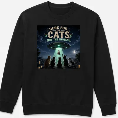 Detailed sci-fi print of cats being abducted by a UFO, with playful text. — printed on a unisex sweatshirt