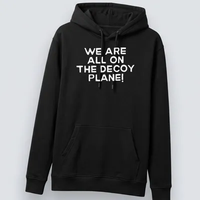 Minimalist design featuring a decoy plane with text about shared experiences — printed on a unisex hoodie