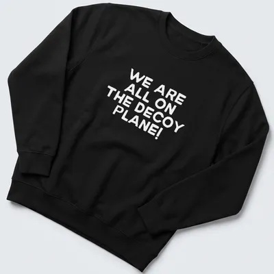 Minimalist design featuring a decoy plane with text about shared experiences — printed on a unisex sweatshirt
