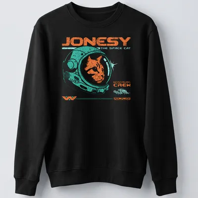 Retro distressed shirt with a ginger cat in a space helmet and text. — printed on a unisex sweatshirt