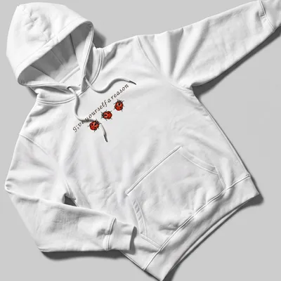 Whimsical ladybug illustration above the text 'G;ve yourself a reason' in red, black, and brown. — printed on a unisex hoodie