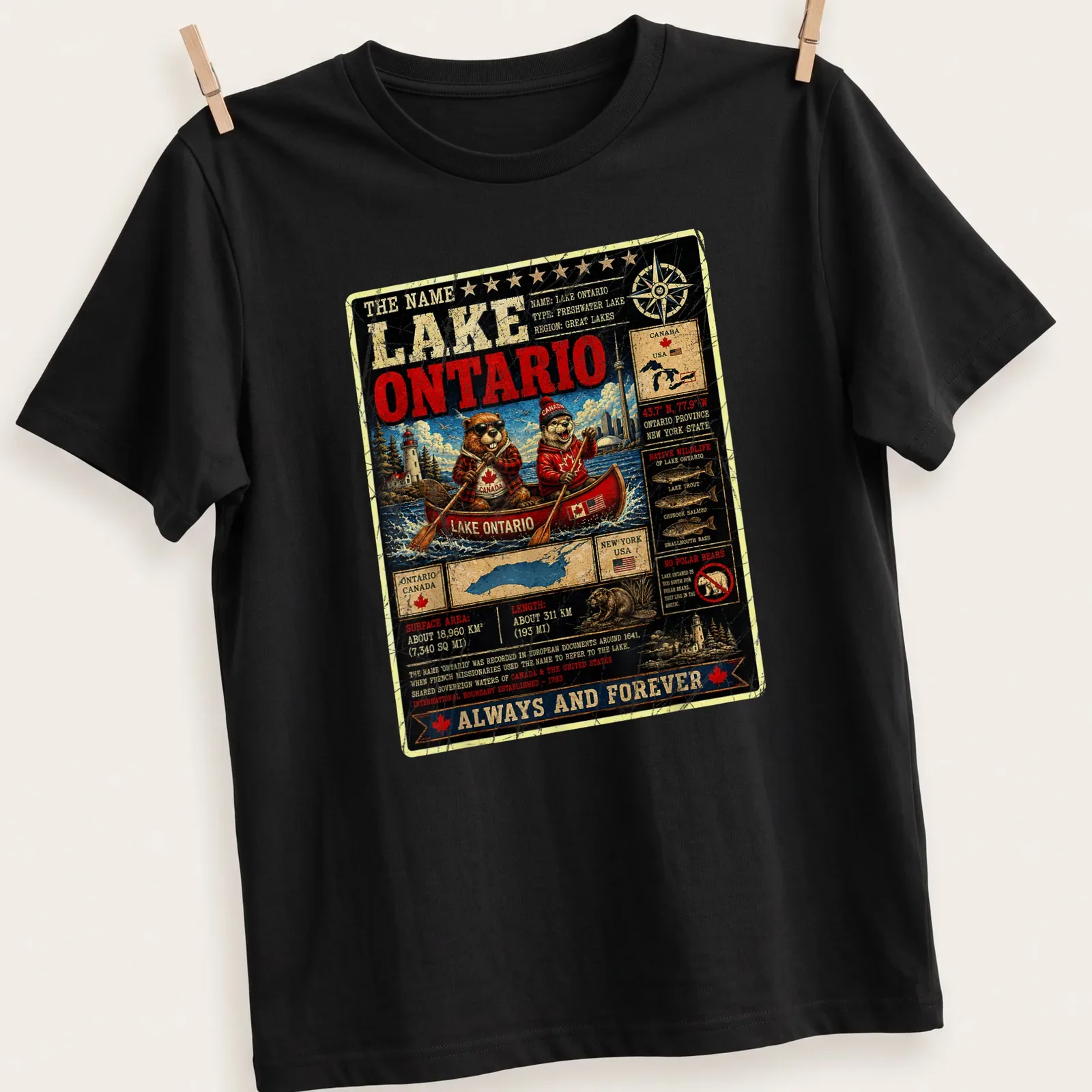 Vintage distressed T-shirt featuring beavers in a canoe with text about Lake Ontario — printed on a unisex t-shirt