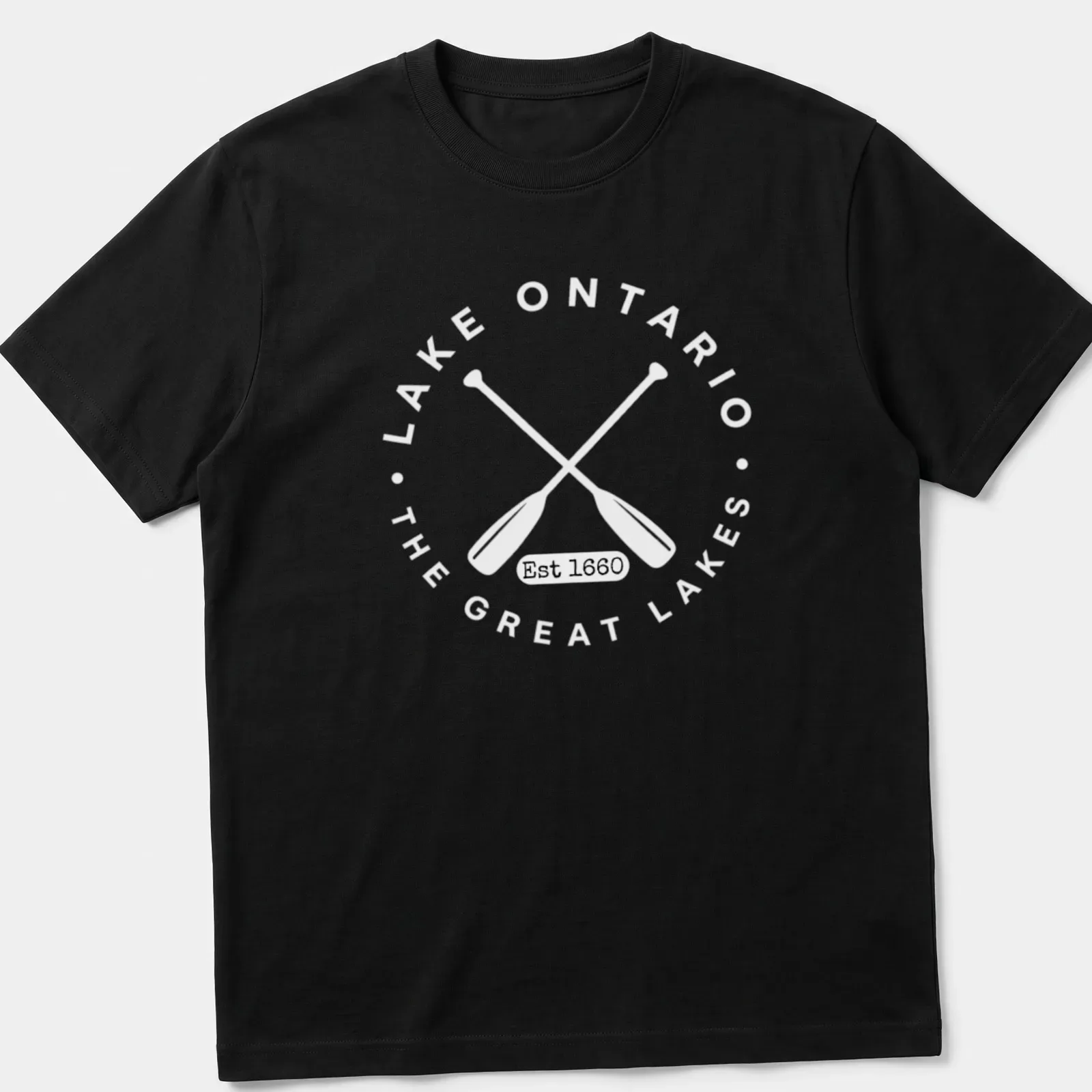 Vintage retro Lake Ontario t-shirt with 'Est 1660' text above lake silhouette — printed on a unisex t-shirt