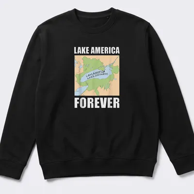Illustrated map of Lake Ontario with text: Lake America Lake Ontario Forever — printed on a unisex sweatshirt