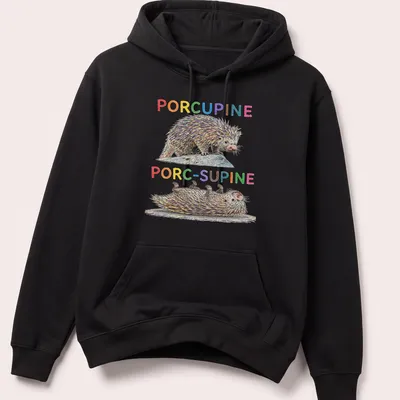 Colorful illustration of a porcupine with the text 'PORCUPINE PORC-SUPINE'. — printed on a unisex hoodie