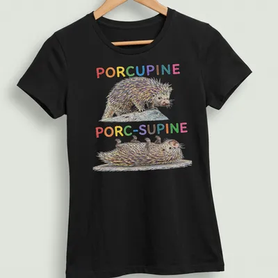 Colorful illustration of a porcupine with the text 'PORCUPINE PORC-SUPINE'. — printed on a women's shirt