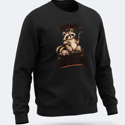 Cartoon raccoon illustration with humorous text saying 'Anyway That Was My Last Straw.' — printed on a unisex sweatshirt
