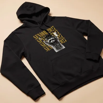 Funny cartoon raccoon with SENIOR 2027 lettering in black, gold, and white — printed on a unisex hoodie