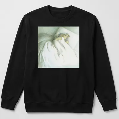Illustration of a sleeping bunny with the text 'Go Back To Sleep' in soft colors. — printed on a unisex sweatshirt