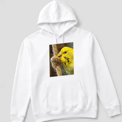 Realistic photograph of a yellow budgerigar perched on a rope against natural colors — printed on a unisex hoodie