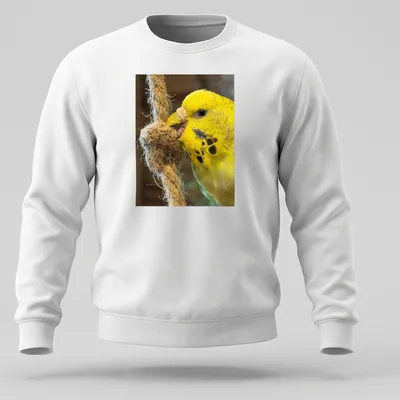 Realistic photograph of a yellow budgerigar perched on a rope against natural colors — printed on a unisex sweatshirt