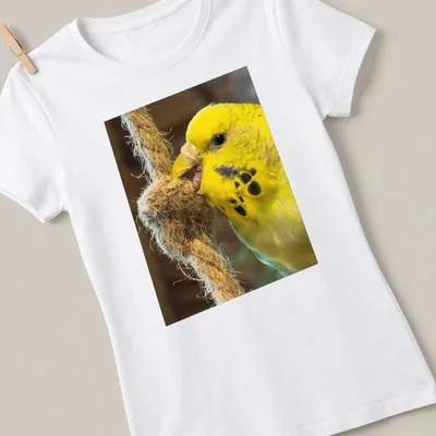 Realistic photograph of a yellow budgerigar perched on a rope against natural colors — printed on a women's shirt